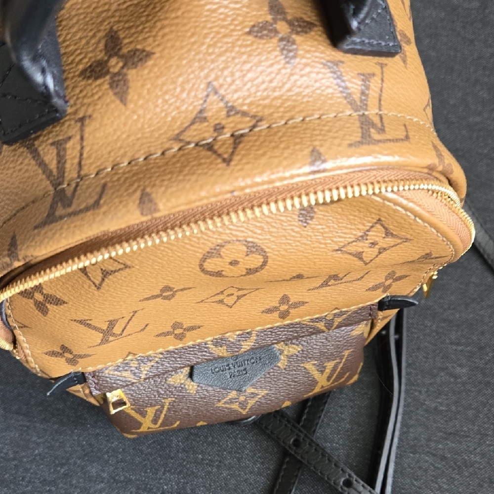 Louis Vuitton Palm Springs Mini In Reverse Monogram - Picture 6 of 7